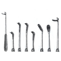 Item Name: Raspatories